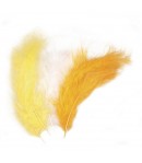 PLUMES MELANGE DUVETE TONS ORANGERS 10-15CM
