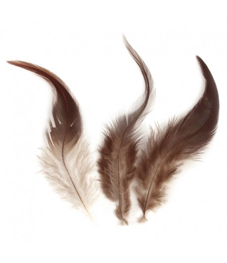 PLUMES DE COQ 10-15CM