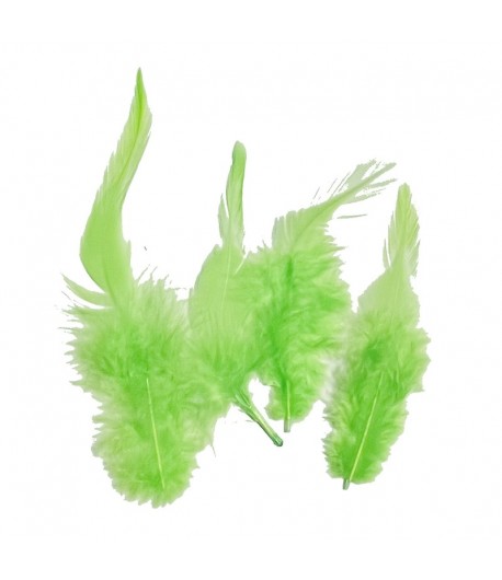 PLUMES VERTES 10-15CM