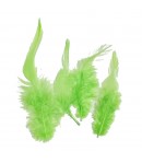 PLUMES VERTES 10-15CM