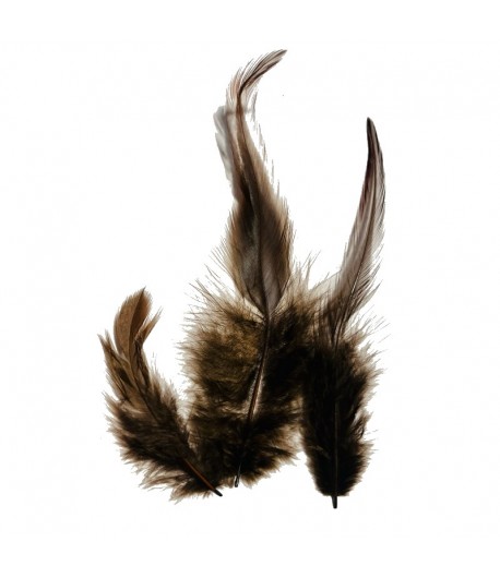 PLUMES BRUNES FONCEES 10-15CM