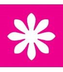 PERFORATRICE PAQUERETTE 3.75CM