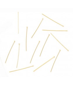 CLOUS A TETE PLATE DORE X20 - 40MM