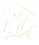 CLOUS A TETE PLATE DORE X20 - 40MM