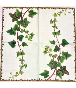 SERVIETTE LIERRE FOND VERT