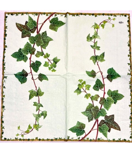 SERVIETTE LIERRE FOND VERT