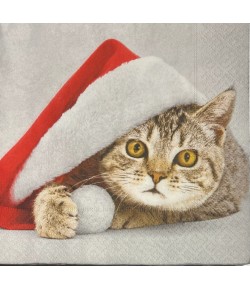 SERVIETTE SANTA CAT