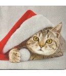 SERVIETTE SANTA CAT