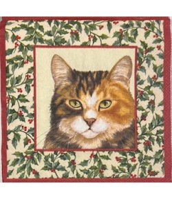SERVIETTE CHATS ENCADRES