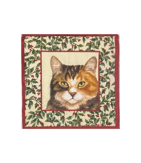 SERVIETTE CHATS ENCADRES