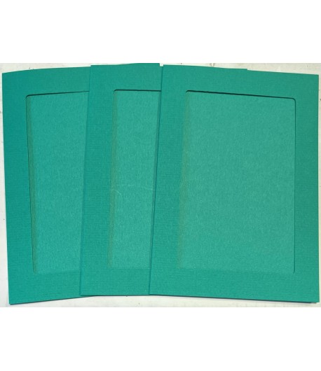6 CARTES PASSE PARTOUT RECTANGULAIRE VERT 10.8X15.5CM