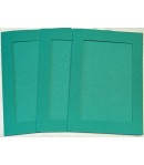 6 CARTES PASSE PARTOUT RECTANGULAIRE VERT 10.8X15.5CM