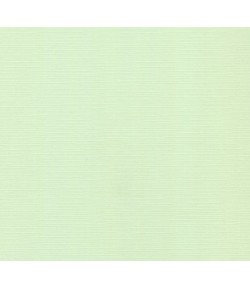 FEUILLE 30.5 X 30.5 CM 240GR - VERT CLAIR (SC19)
