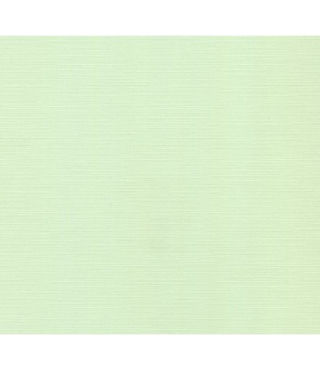 FEUILLE 30.5 X 30.5 CM 240GR - VERT CLAIR (SC19)