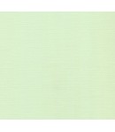 FEUILLE 30.5 X 30.5 CM 240GR - VERT CLAIR (SC19)