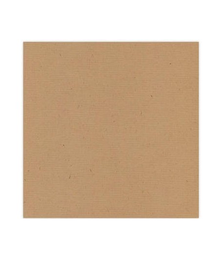 FEUILLE 30.5 X 30.5 CM 240GR - KRAFT (SC45)