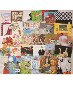 CHATS - LOT DE 30 SERVIETTES - A1