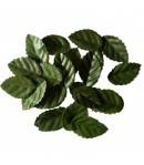 FEUILLES VERTES 1.7X2.9CM X20