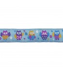 RUBAN BLEU CHOUETTES 1.5CMX1M