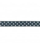 RUBAN A POIS ANTHRACITE 1CM - 1M