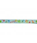RUBAN BLEU SUMMER  2.2CM X 1 M