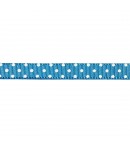 RUBAN A POIS BLEU TURQUOISE 1CM - 1M
