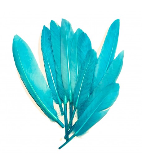 PLUMES DROITES X  10 - BLEU OCEAN