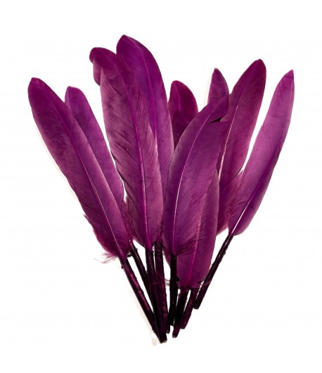 PLUMES DROITES X  10 - VIOLINE