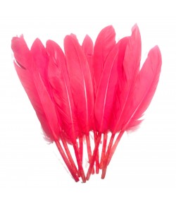 PLUMES DROITES X  10 - ROSE