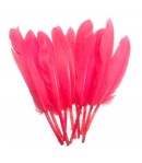 PLUMES DROITES X  10 - ROSE
