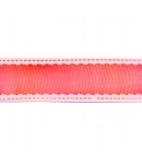 RUBAN ROSE ECRU 2.5 CM - 1M