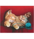 IMAGE 3D CHAT ET PELOTE GK2430053