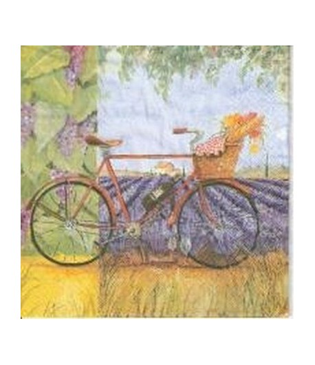 SERVIETTE LA BICYCLETTE