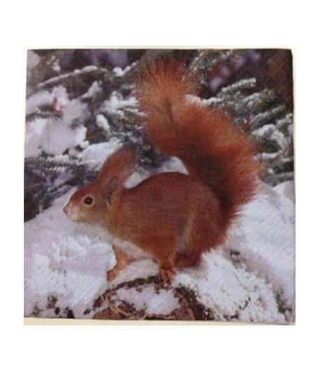 SERVIETTE ECUREUIL DANS LA NEIGE