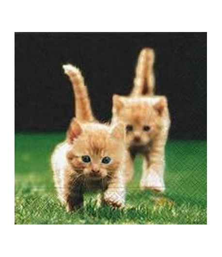 SERVIETTE BB CHATS ROUX