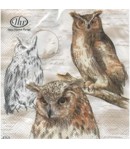 SERVIETTE BEAUX HIBOUX
