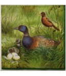 SERVIETTE CANARDS ET CAILLES
