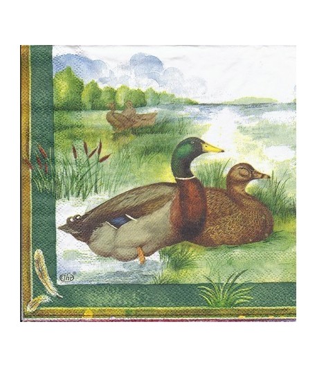 SERVIETTE CANARDS