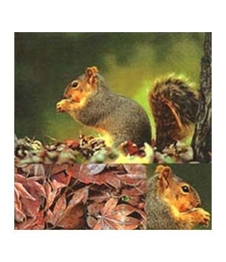 SERVIETTE ECUREUILS GOURMANDS