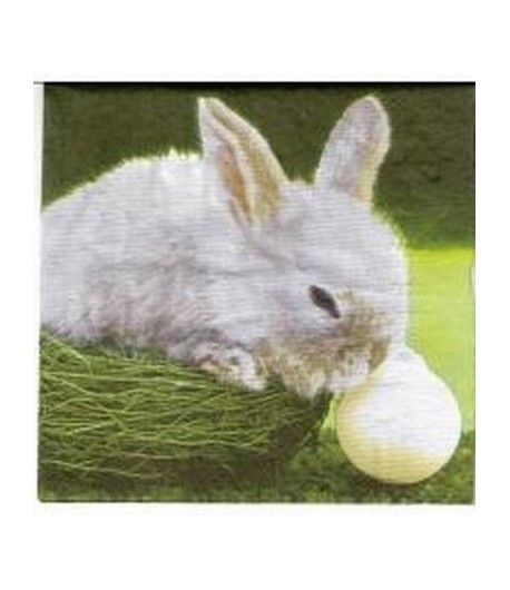 SERVIETTE LE LAPIN ET LA BALLE