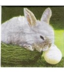 SERVIETTE LE LAPIN ET LA BALLE