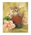 IMAGE 3D CHATON ET POTS  24X30 GK2430078
