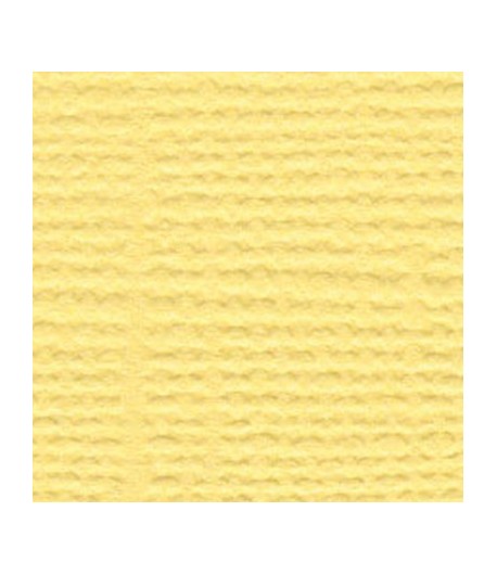 PAPIER BAZZILL LEMONADE 30.5 X 30.5 CM