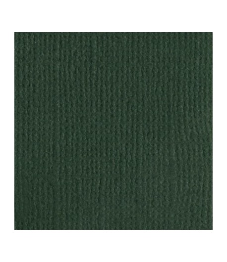 PAPIER BAZZILL ASPEN 30.5 X 30.5 CM