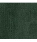 PAPIER BAZZILL ASPEN 30.5 X 30.5 CM