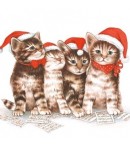 SERVIETTE LES 4 CHATONS DE NOEL