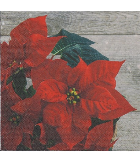 SERVIETTE POINSETTIAS