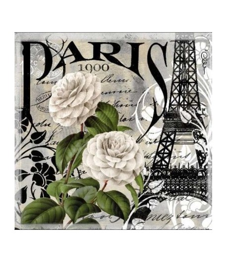 SERVIETTE PARIS 1900