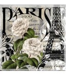 SERVIETTE PARIS 1900