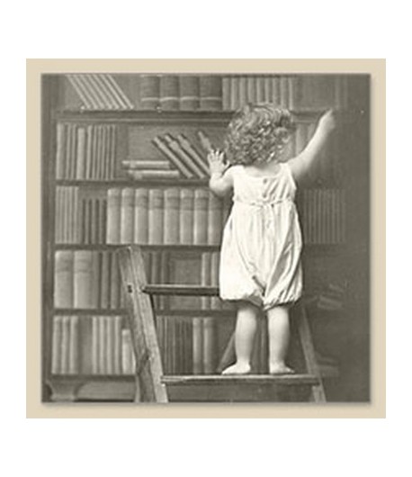 SERVIETTE LA BIBLIOTHEQUE